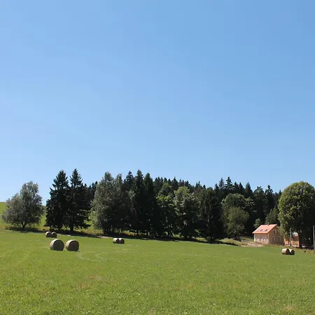 Σπίτι διακοπών Bohemian Forest, Cleaning Included