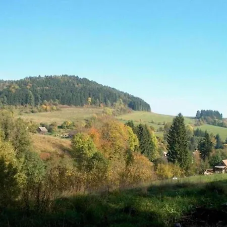 Bohemian Forest, Cleaning Included