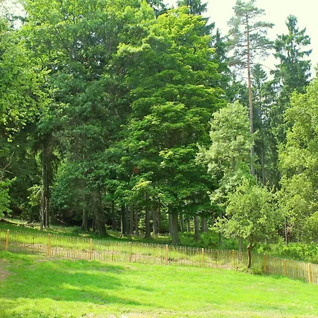 Bohemian Forest, Cleaning Included Milire